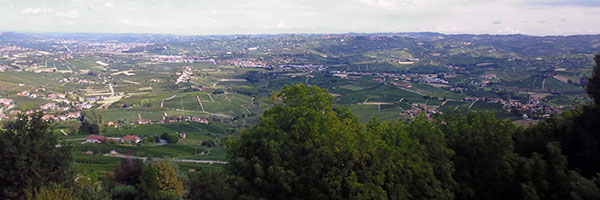 22 dolcevita 11