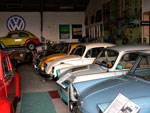 kolle web 09 t